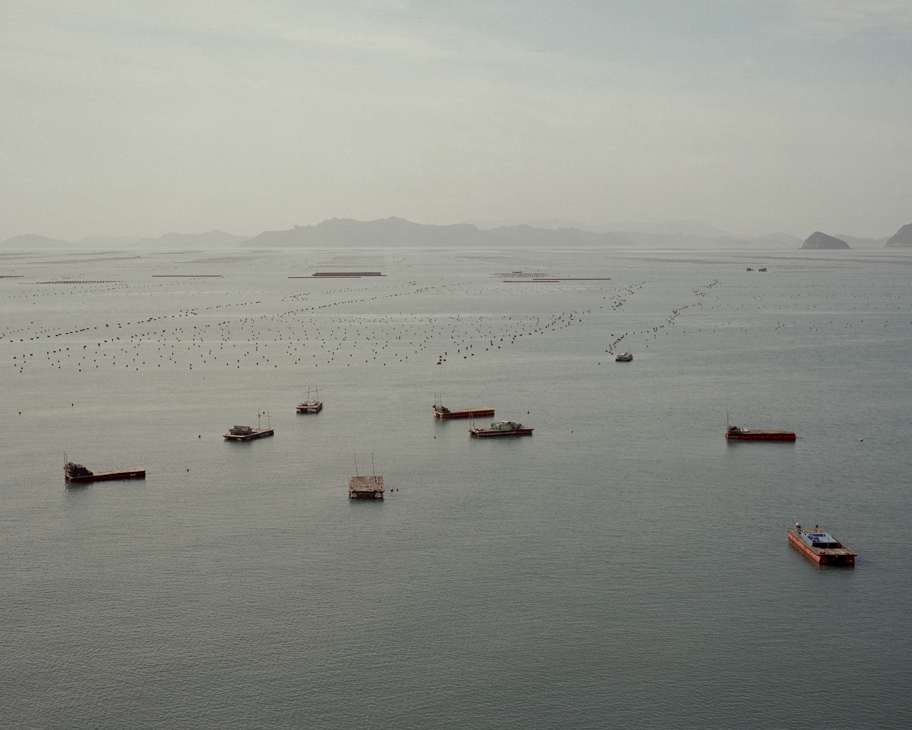 Fish Farm, South Korea, 2013, fotografía color, 40 X 50 cm.